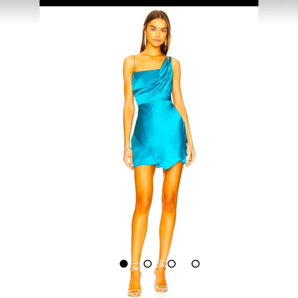 Amanda Uprichard Dresses & Skirts - REVOLVE - Amanda Uprichard - Dress - GUC